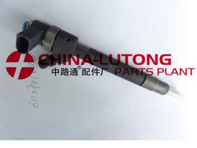 China Supply Mercedes Benz Cdi Injector -Common Rail Injector 0 445 110 189,6110701687 for sale