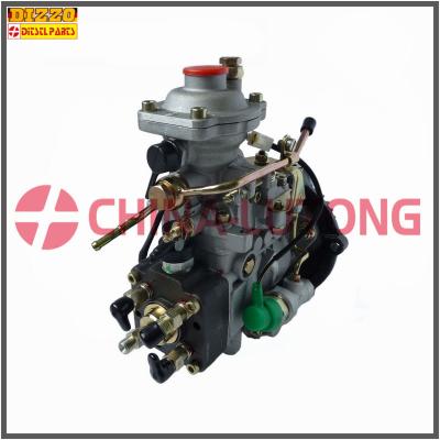 China Diesel Fuel Injection Pump 11F1900L005-VE pump for sale