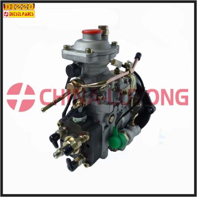 China Fuel Injection Pump for Jmc, Gmc OEM Nj-Ve4/11f1900L005 for sale