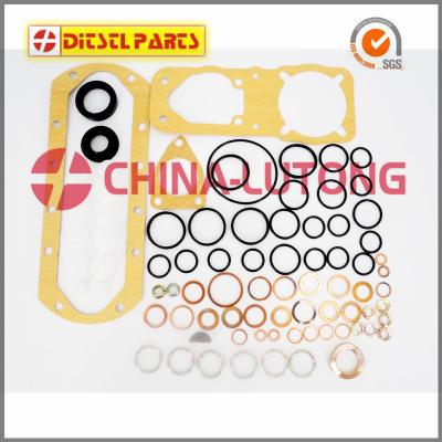 China Repair Kits for VE pump-Toyota Fuel Injector Rebuild Kit for sale