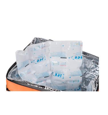 China Water Injection Ice Bag Freeze Insulated Ice Pack For Frozen Food for sale