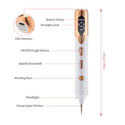 China Skin Rejuvenation USB Beauty Hemorrhoids Spot Nevus Pen Laser Spot Removal Home Beauty God Filling Scanning Device for sale