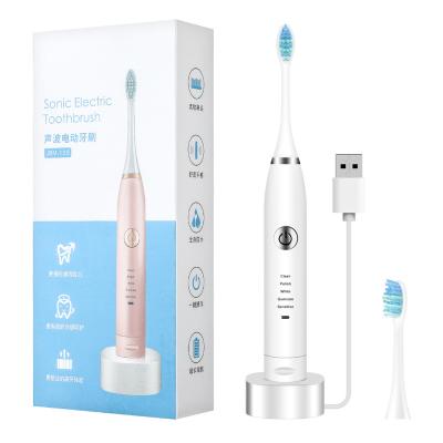 China New USB Battery Powered Seat Charging Sonic Clean Adult Electric Toothbrush Five Speed ​​Vibration Electric Toothbrush Household for sale