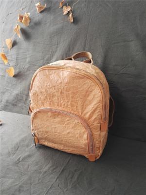 Китай dupont backpack, tyvek backpack, leisure backpack, recycling backpack продается