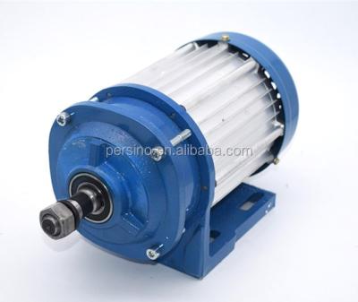 China Waterproof BLDC 48v 1000w motor for electric vehicle for sale