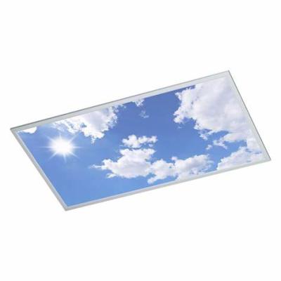 China High Light Efficiency Customize Picture Sky Ceiling 600x600 Led Panel Light For Home Indoor Office Lighting 2*2 2*4 Project Ultra Thin Frameless Wall for sale