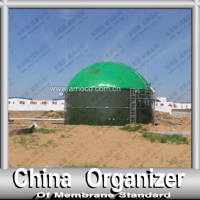 China Industry Fuel China Electric Power Generation Plant Organic Fuel Digester Tank Anaerobic /sludge Tanks for sale