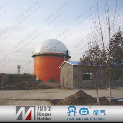 China Industry Fuel 2015 China Biogas Digester / Biodigestor For Wastewater Treatment Biological for sale