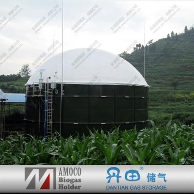 China Industry fuel China AMOCO biogas digester/cover holder/gas/generator/agitator/mixer/rocket/torch for biogas projects for sale