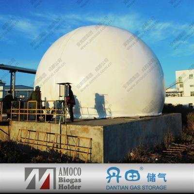 China Industry Fuel China 2015 Hot Sale Biogas Membrane Tank, Biogas Factory for sale