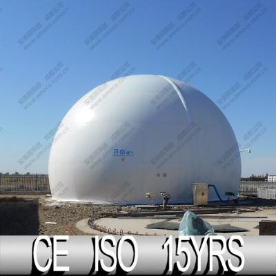 China Industry Fuel 2015 Gas Plant Storage System , Chicken Manure Biogas for sale