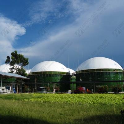 China Industry Fuel CE Certified Membrane Biogas Storage Balloon, Biogas Balloon, Biogas Holder for sale