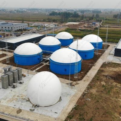 China Industry Fuel Double Membrane Biogas Rack Mounted For Cow Dung Waste Biogas Plant In UK for sale