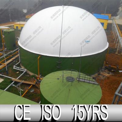 China Industry dual fuel biogas membrane gas holder, biogas plant for pig farm for sale