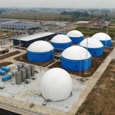 China Industry Fuel CE Certified AMOCO Double Membrane Biogas Storage Tank, Biogas Rack, Biogas Cover for sale