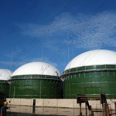 China Industry Fuel Biogas Storage Bag Top Mounted Anerobic Digester for sale