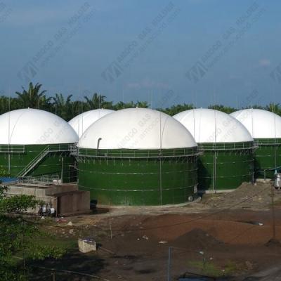 China Industry fuel biogas digester roof mounted on biogas plant digester for palm oil plant waste for sale