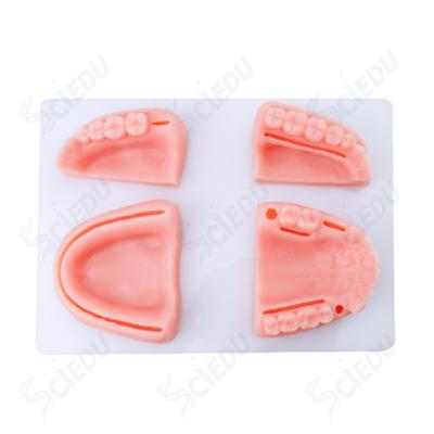 China School and Hospital Dental Teeth Model Surgical Suture Practice Pad Suture Pad for sale