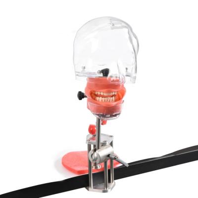 China Medical School Teaching Office Mounted Dental Cheap Phantom Head for sale