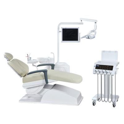 China Popular Warranty Metal Long Lead 10 Led Light Dental Equipment Chair Unit By Dental Suppliers for sale