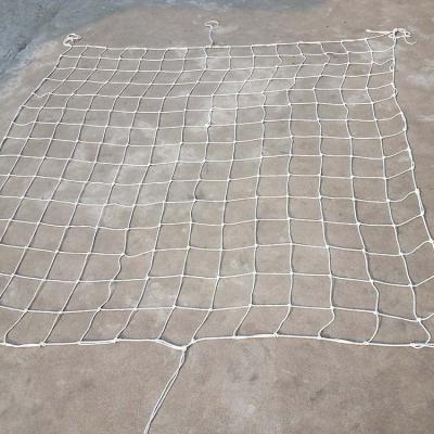 China Polyester container cargo to prevent falling safety net for sale