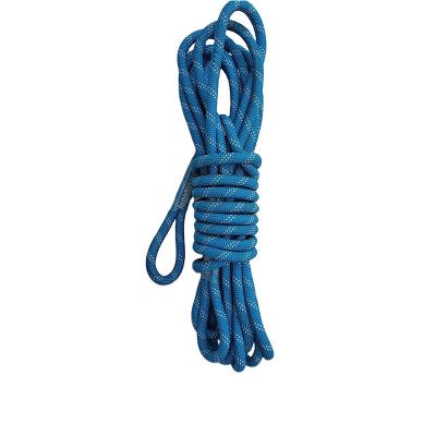 China Rock Climbing/Ice Climbing/Mountaineering Customized Color Climbing Rope 10mm Outdoor Climbing Rope For Running And Sports Use for sale