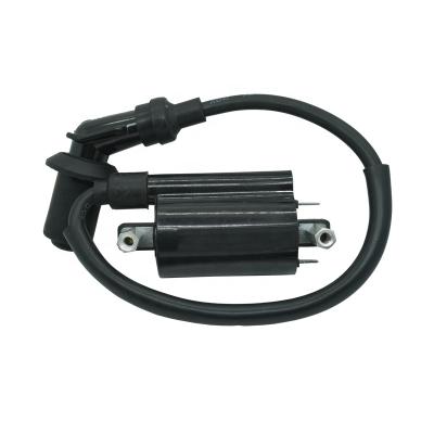 China PPT+Copper Wire Motorcycle Parts LFXV250 LF250V TCI Virago250 VIRAGO125 Motorcycle Electric Ignition Coil for sale