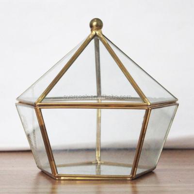 China 150 Degree Instant Temperature Difference Gold Copper Glass Mini Greenhouse Metal Hanging Mini Greenhouse Geometric Glass Centerpiece for sale