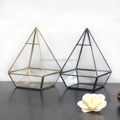 China Wholesale Pentagon Geometric Glass Mini Greenhouse 150 Degree Instant Temperature Difference In Clear Gold Flower Vase Geometric Glass Mini Greenhouse for sale