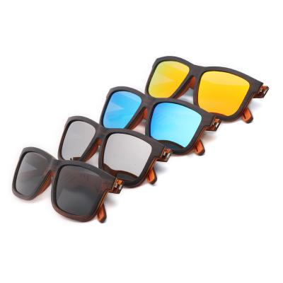 China Well-designed Sun Logo Custom Glass Eyewear Fashion Sun Glasses Fashion Bamboo Sunglasses for sale