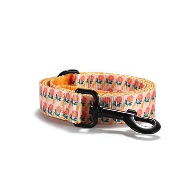 China Custom Hot Selling Custom Dog Leash Custom Design Sublimation Printed Nylon Dog Leash for sale