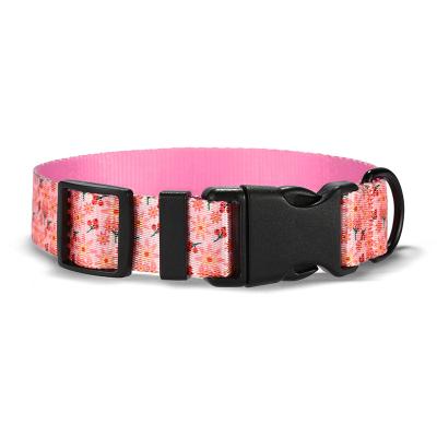 China Lights Hot-selling Custom Design Beautiful Dog Collar Pattern Printed Pet Collar And Leash Set for sale