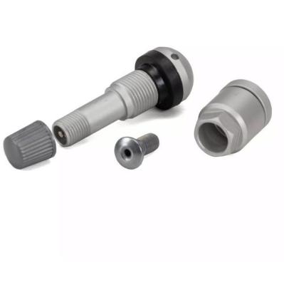 China TVR TPMS Valve SAFE Silver Gray Plastic Tire Pressure Sensor Covers OTHER for sale