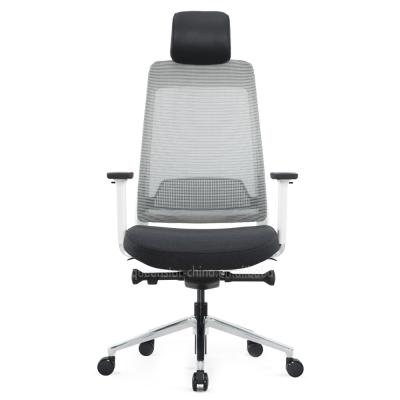 China (Size) QS-OMC30 High Quality Adjustable Mesh Back With Lumbar Support Executive Chair Durable Ergonomic Home Office Chair for sale