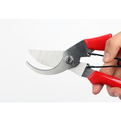 China Pruning Anti-Slip Garden Shears Manual Garden Handle Shear for sale