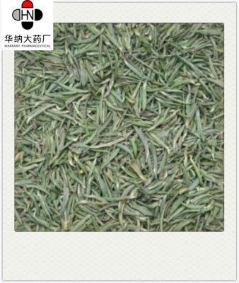 China 1-3% Theanine （HPLC）  Green Tea Extract  GMP/DML/Registered in Korea，Pharmaceutical grade for sale