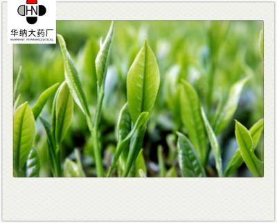 China Theobromine  0.3%-1.2%（HPLC）  Green Tea Extract  GMP/DML/Registered in Korea，Pharmaceutical grade for sale