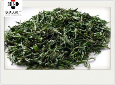 China Epicatechol （EC ） 47.5%-52.5%（HPLC）  Green Tea Extract  GMP/DML/Registered in Korea，Pharmaceutical grade for sale