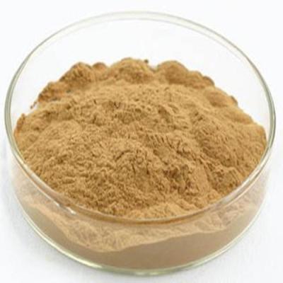 China Hemp Seed Herb Extract Powder for sale