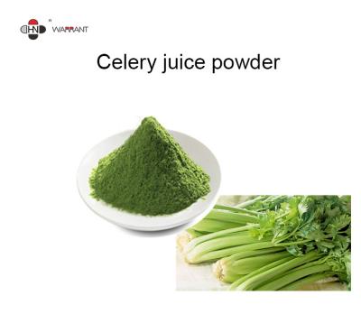 China Anti Allergic Water Soluble Celery Juice Powder for sale