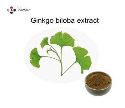 China 6% Lactones Ginkgo Biloba Leaf Powder for sale