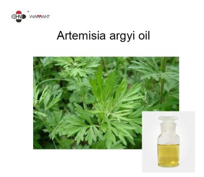 China Artemisia Argyi Oil for sale