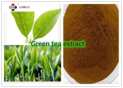 China Anti Wrinkle 98% Polyphenols Camellia Sinensis Leaf Powder for sale