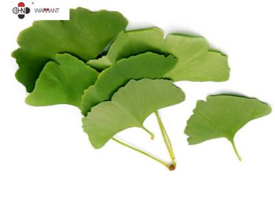 Chine Poudre d'extrait de Ginkgo Biloba d'Usp 32/Usp 41 (Gbe) à vendre