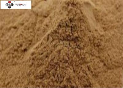 China EP 8.0/EP ，USP ，CP  ，24%/6%，24% Ginkgo Biloba Extract（GBE）powder for sale