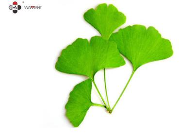 Chine Extrait de Ginkgo Biloba soluble dans l'eau de flavonoïdes de 24% à vendre