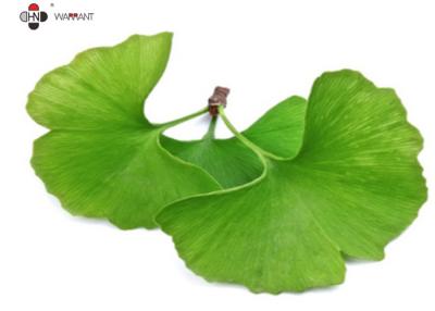 China CAS 90045 36 6 Skincare Ginkgo Biloba Extract  24%-6%，USP/CP/EP，GMP/DML for sale