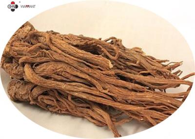 China Farmaceutische Rang Antimoeheid Angelica Gigas Root Extract Te koop