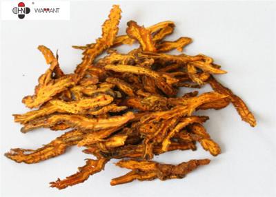 China Anti Inflammatory 5% Berberine Coptis Chinensis Extract for sale