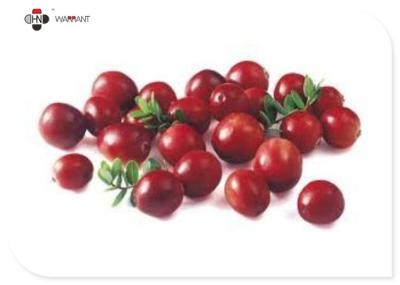 China 10：1 Food Grade Water Soluble Cranberry Extract Powder for sale